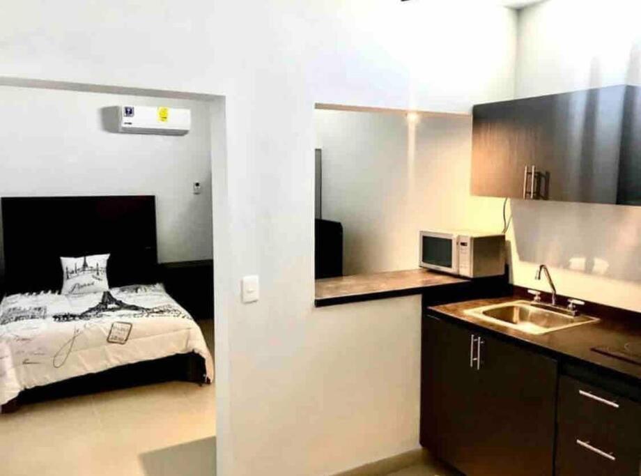 Apartamento Departamento Hermoso En Guadalupe